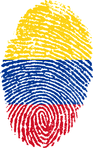 Consejo Nacional de Política y Planeación.