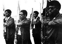 black panthers