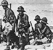 Seconda battaglia di El Alamein