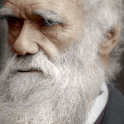 Timeline: Charles Darwin (B. 12 Feb 1809; D. 19 Apr 1882)