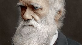 Timeline: Charles Darwin (B. 12 Feb 1809; D. 19 Apr 1882)
