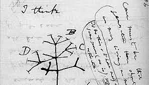 Darwin's Manuscript