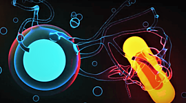 Timeline: BACTERIAS Y ARQUEAS