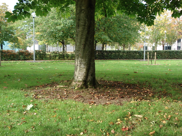 My Views on Teaching and Learning