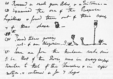 Charles Darwin  02/12/1809 - 04/19/1882