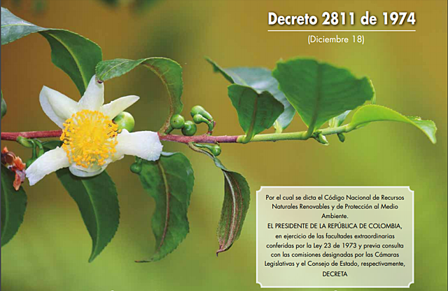 Decreto  2811 de 1974
