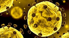 Timeline: CORONAVIRUS