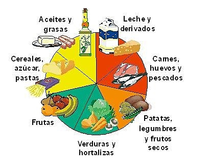 #1 Seguir una dieta saludable y equlibrada