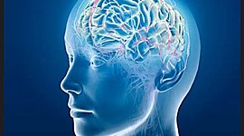 Timeline: DSM-5 y CIE-10