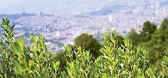 SE REAFIRMA LA DECLARACIÓN DE RÍO Y LA AGENDA 21 (1992).