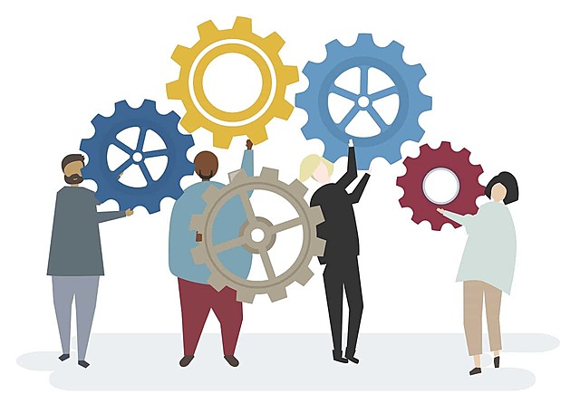 Propuesta de organización