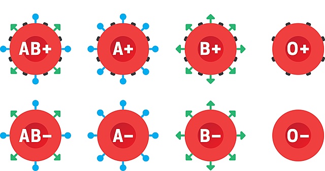 2. Grupos sanguíneos