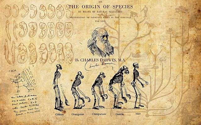 Evolution by Natural Selection