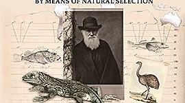 Timeline: Timeline by Bryan Adams (PHIL202)