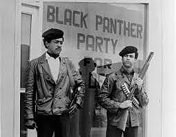 Black Panthers (African Americans)