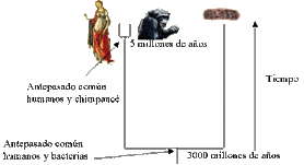 Timeline: Teorías de revoluciones científicas