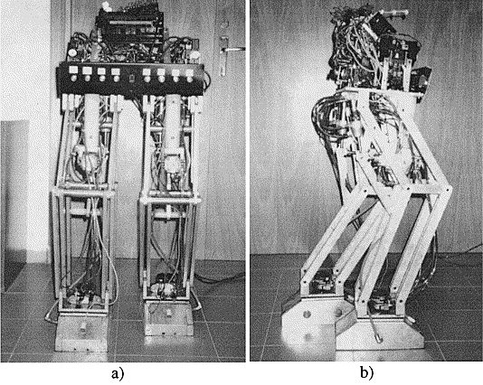 Quasi-dynamic caminante