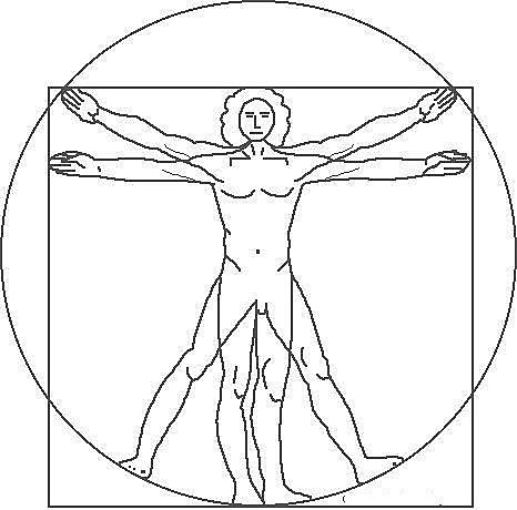 El Renacimiento ( 1300 - 1600 )