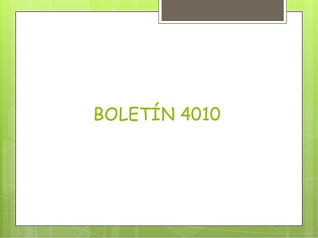boletín 4010 “Dictamen del Auditor”
