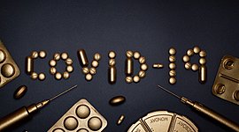 Timeline: Coronavirus evolution