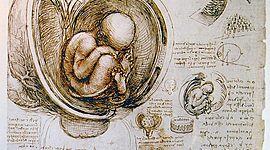 Timeline: Perspektiver Kap 6, Nye møter, nye tanker