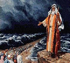 LA TIERRA  PROMETIDA