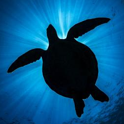 Timeline: Eix cronològic Èric Casulleras