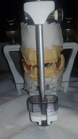 Articulado de los modelos de estudio