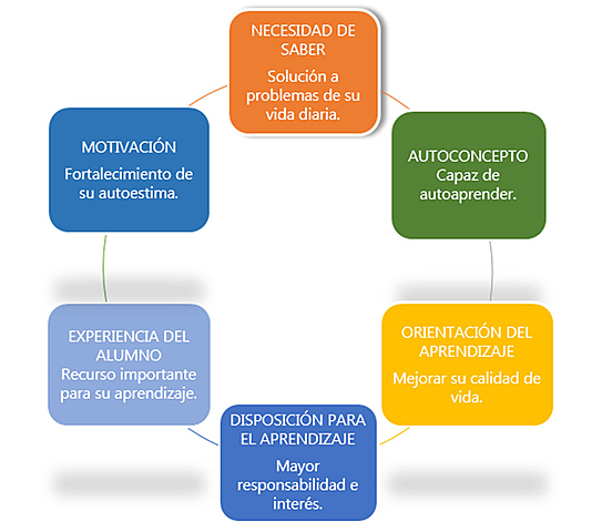 Teoría de la Educación Adulta de Knowles