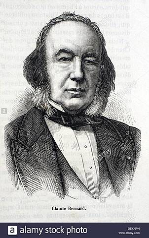 Claude Bernard ( 1813 - 1870 )