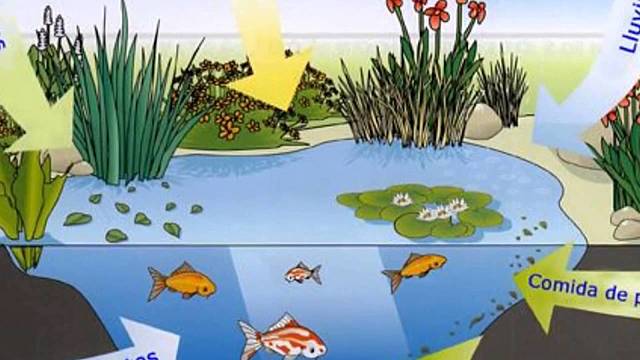 Factores Bioticos y Abioticos