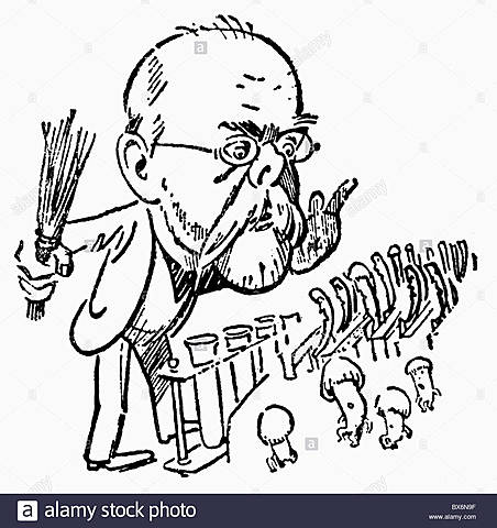 Roberto Koch ( 1843 - 1910 )