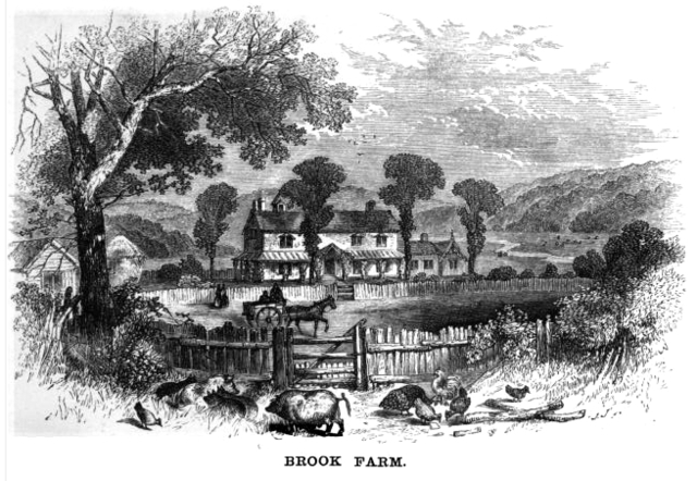 Brook Farm