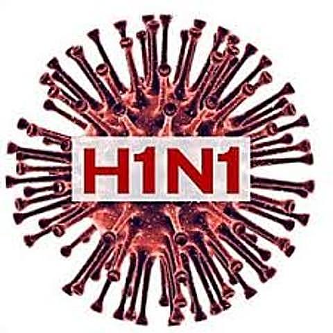 Gripe H1N1
