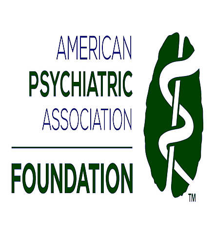 Primer DSM. American Psychiatric Association