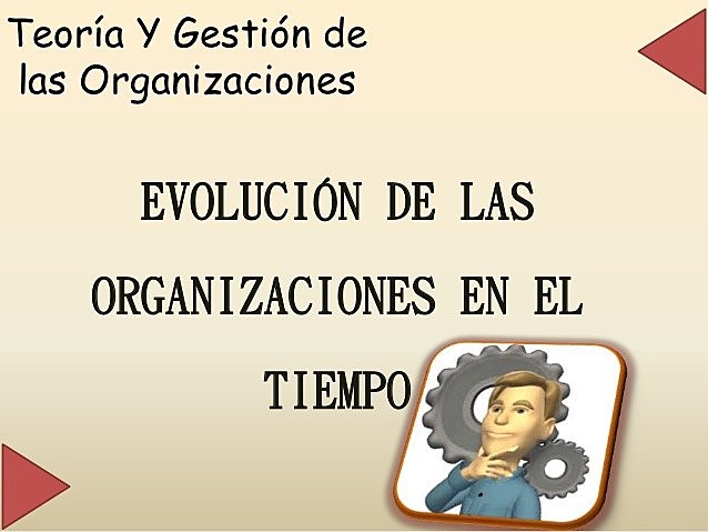 CONCEPTO  DE ORGANIZACION