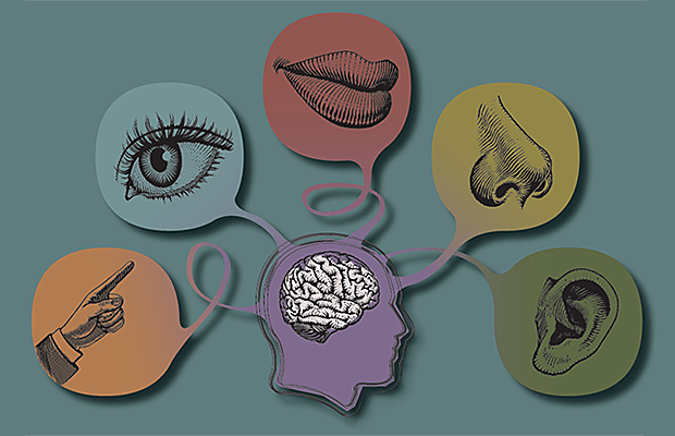 La Lógica de Herbert.