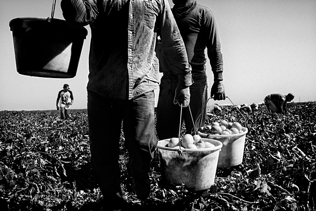 Modelo de satisfacción de necesidades básicas