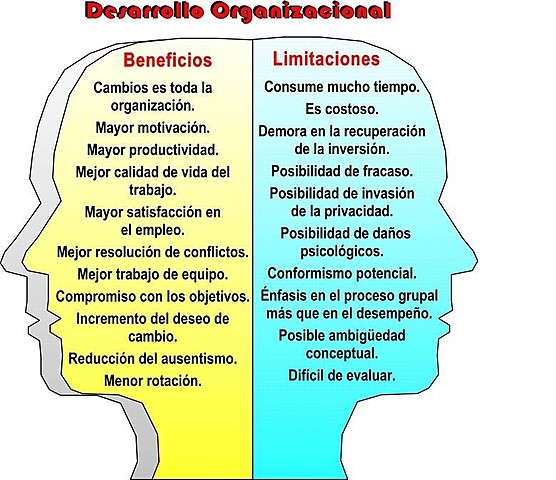 DESARROLLO ORGANIZACIONAL