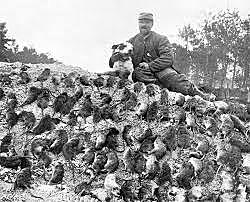 La guerra de las ratas