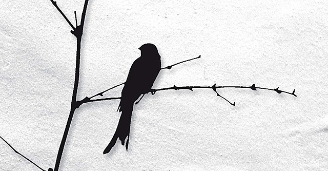 El Hombre en busca de sentido