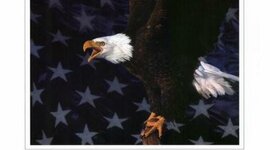 Timeline: History of the American People - Timeline - Final Project