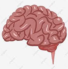 Conocimiento estancado