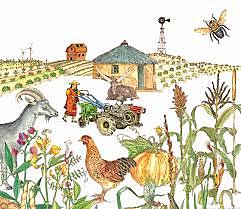 Granjas experimentale