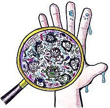 Desarrollo de la Bacteriología