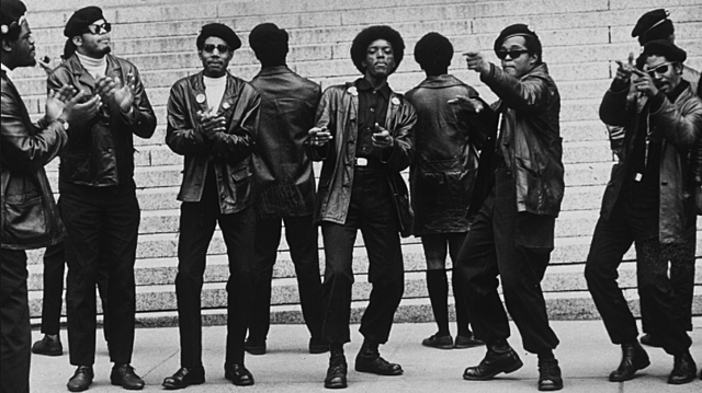 Black Panthers