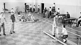 Timeline: The Roots and History of Physical Therapy