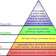 Descargapir maslow