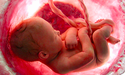 Después del nacimiento