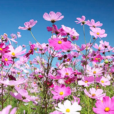 Timeline: Значимые даты семьи в 2019 году